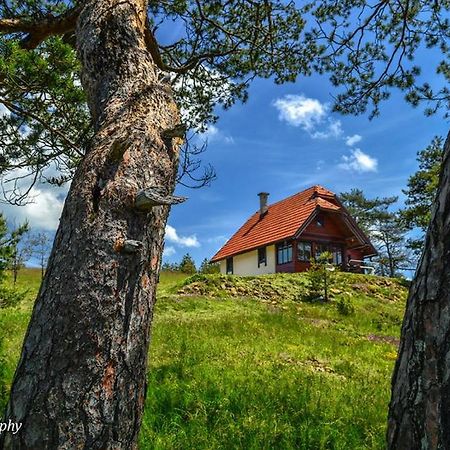 Cottage Vodice Zlatibor Buitenkant foto