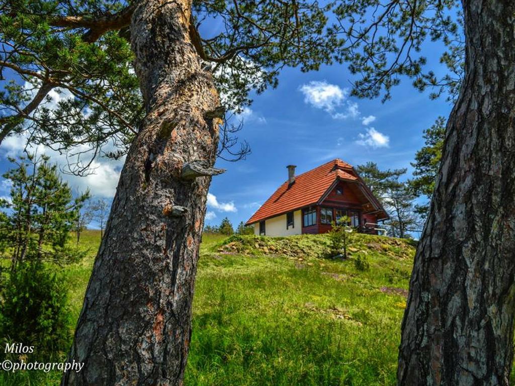 Cottage Vodice Zlatibor Buitenkant foto