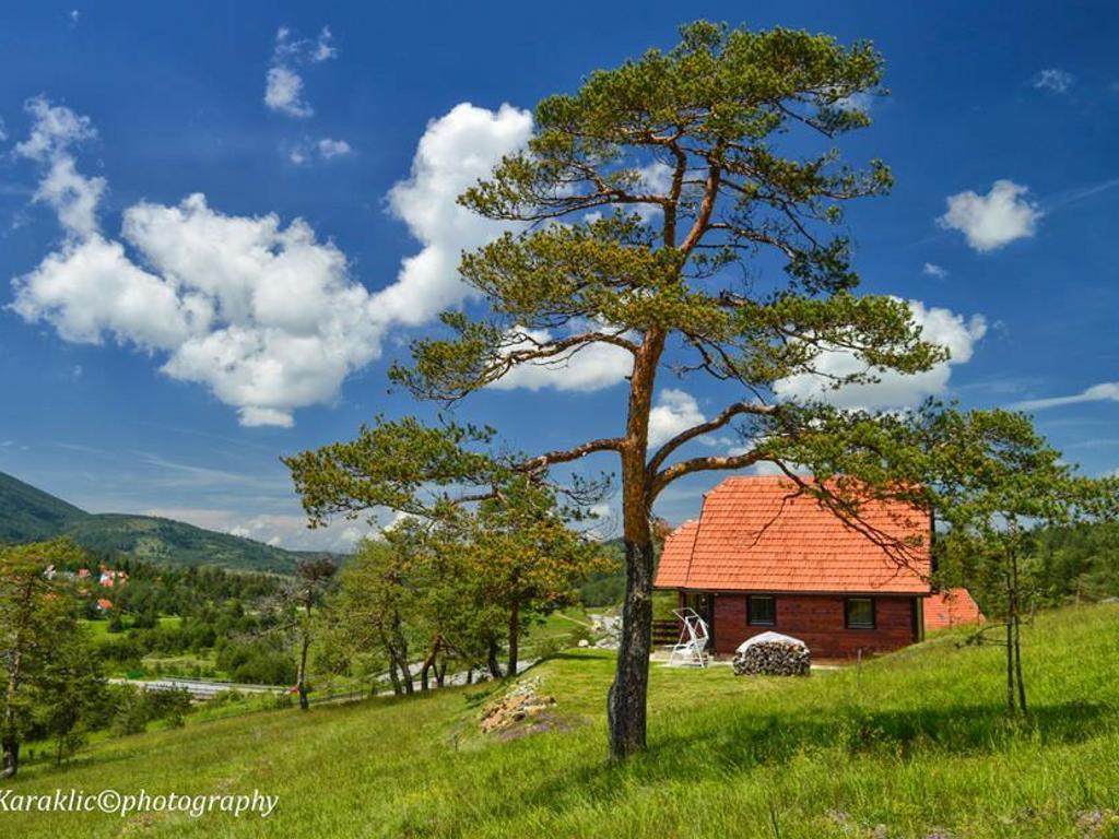 Cottage Vodice Zlatibor Buitenkant foto