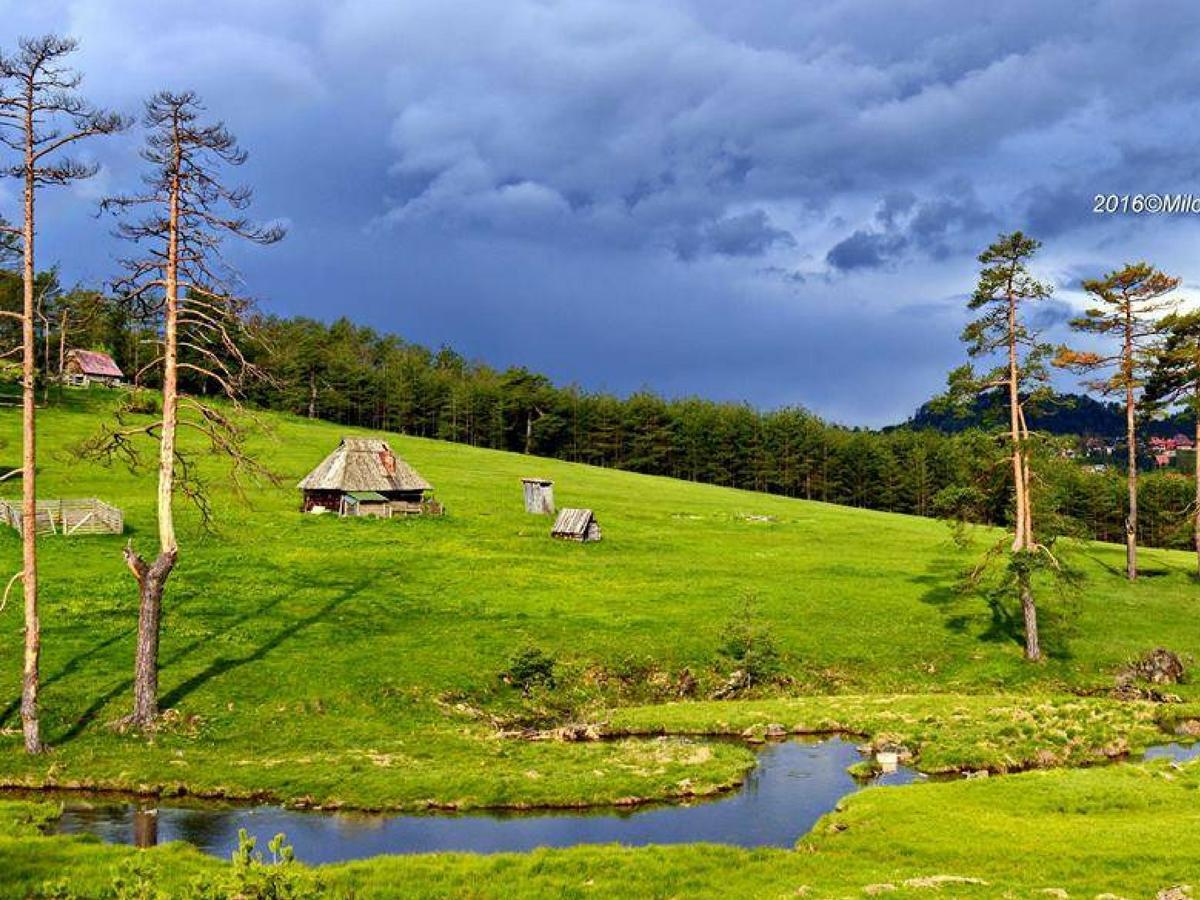 Cottage Vodice Zlatibor Buitenkant foto