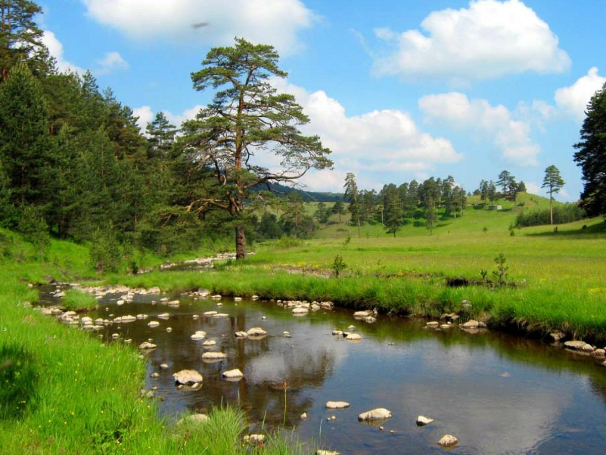 Cottage Vodice Zlatibor Buitenkant foto