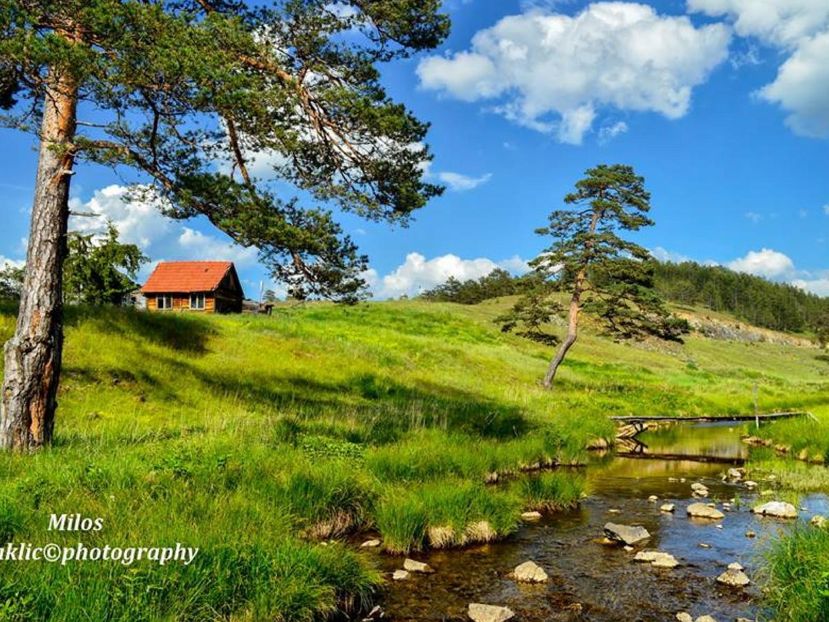 Cottage Vodice Zlatibor Buitenkant foto