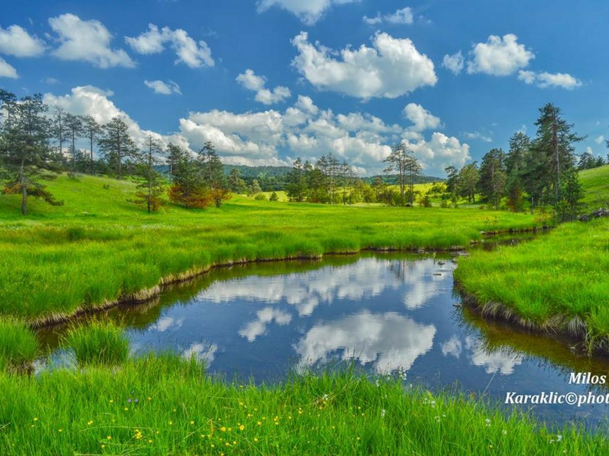 Cottage Vodice Zlatibor Buitenkant foto